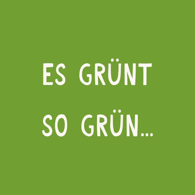 Geschirrtücher Es Grünt Spruchkissen
