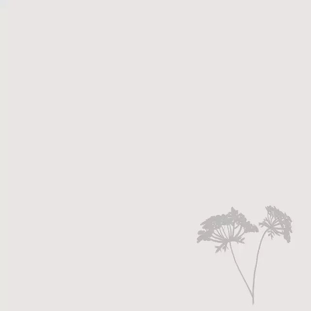 Kissen Wilde Möhre Pur Grau Hell