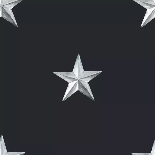 Servietten Silberner Stern anthrazit