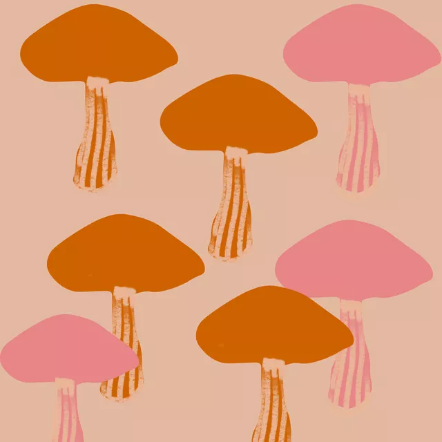 Kissen Pilze Orange Pink Auf Beige