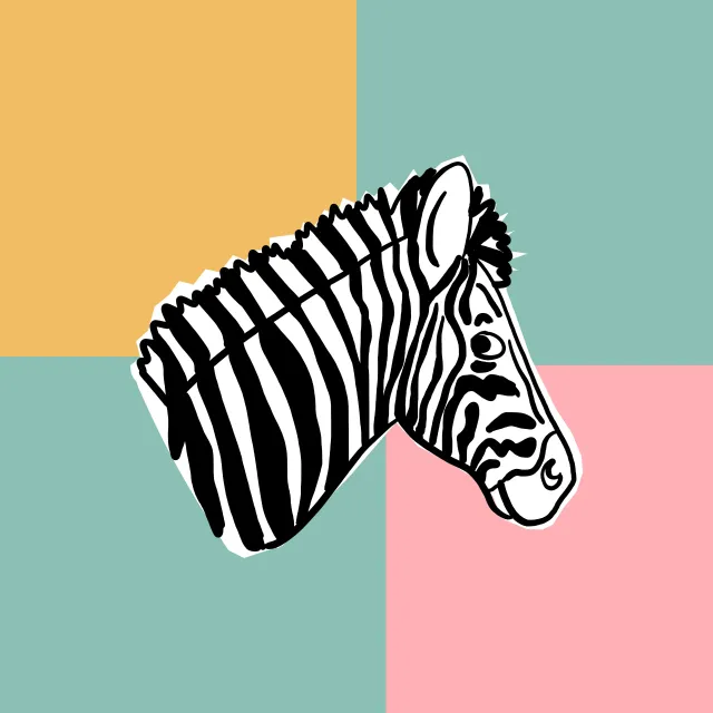 Kissen Hakuna Matata Zebra