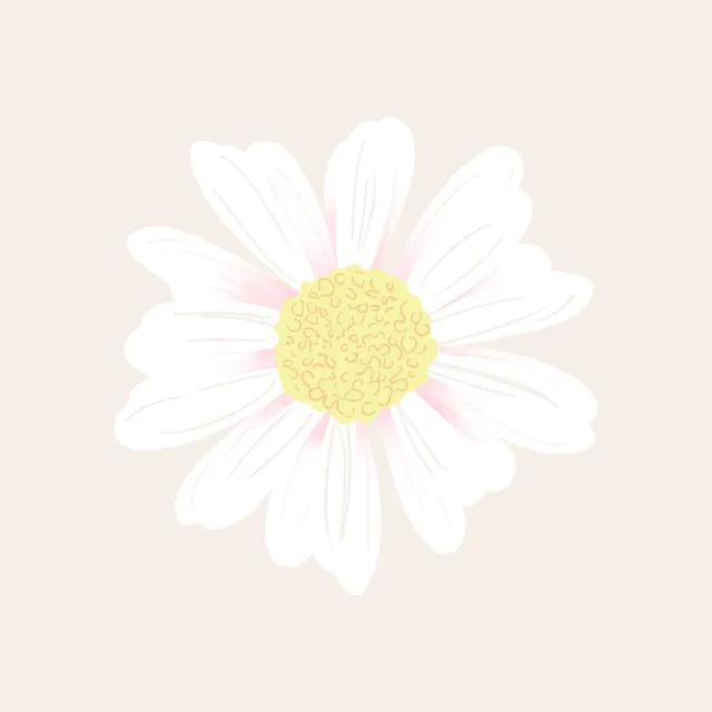 Kissen Daisy beige