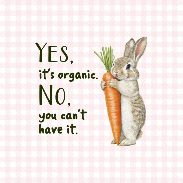 Servietten Du kannst es nicht haben