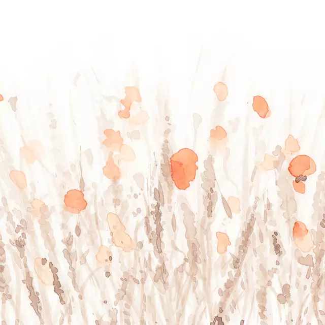 Bettwäsche Orange Watercolor Poppies