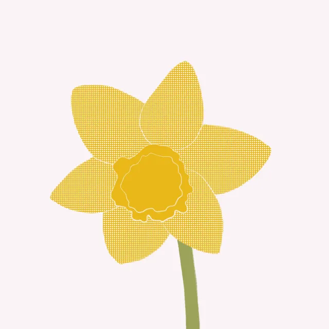 Geschirrtücher Osterglocke Beige