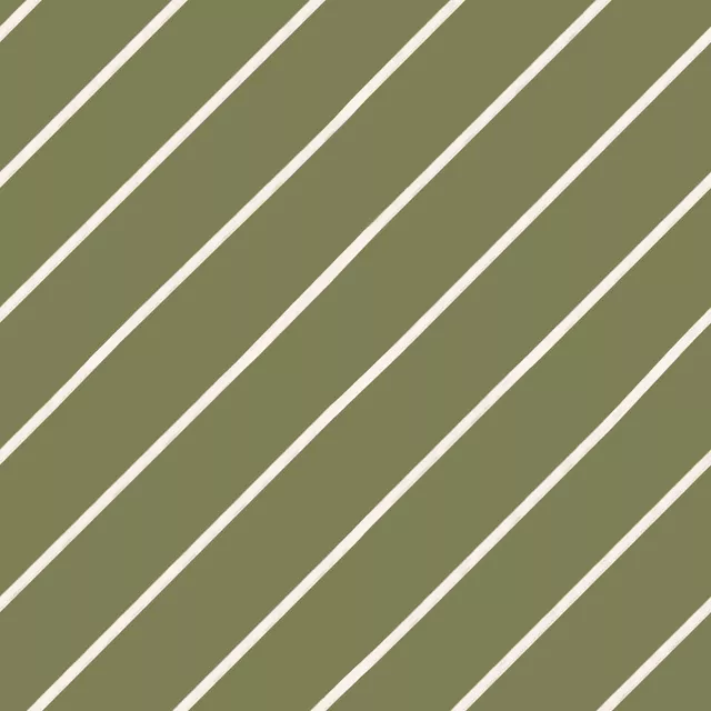 Kissen Streifen Diagonal Grün