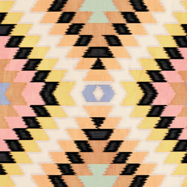 Kissen Big Ikat Colorful