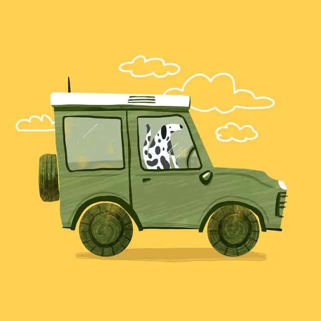 Kissen Hund im Auto gelb