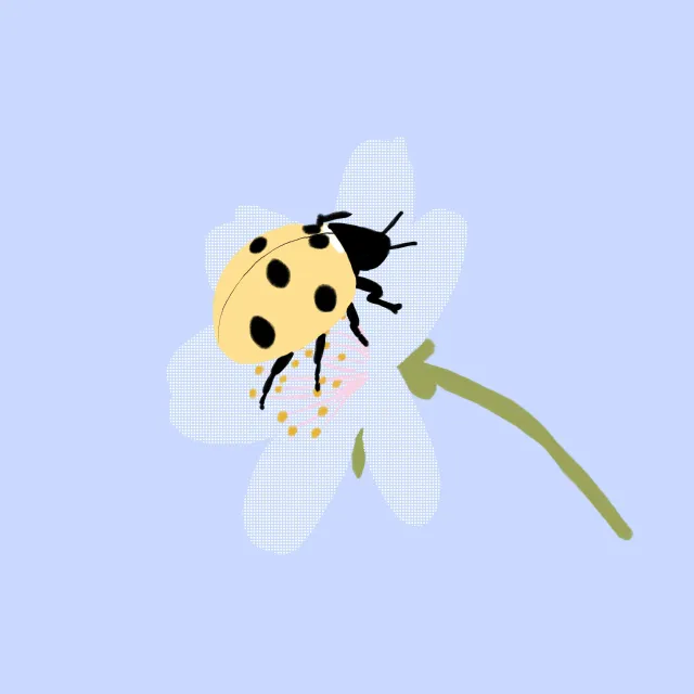 Tischset Marienkäfer Pastellfarben