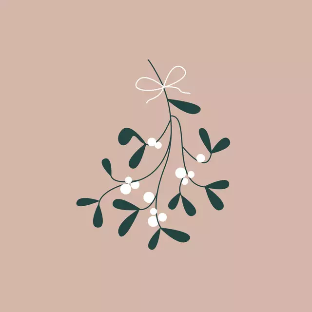 Kissen Christmas Mistletoe nude