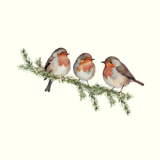 Dekovorhang Rotkehlchen Robin Vögel Creme