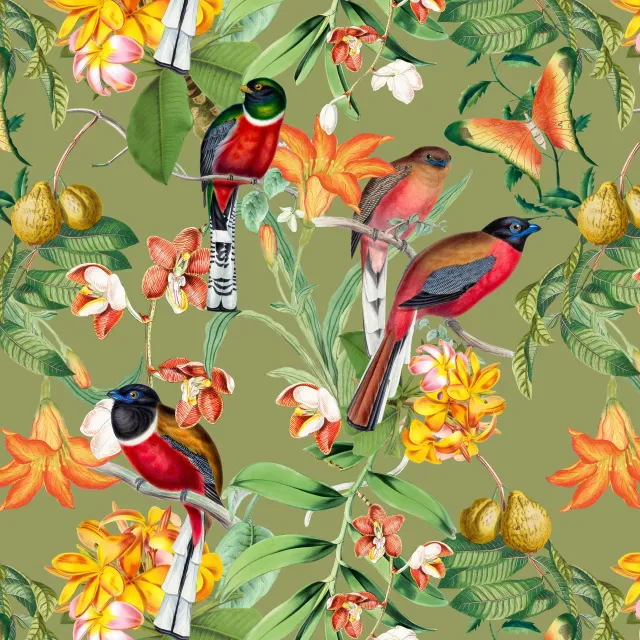 Kissen Bunte tropische Vögel grün