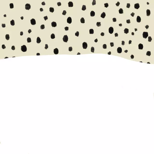 Kissen DOTS AND WHITE