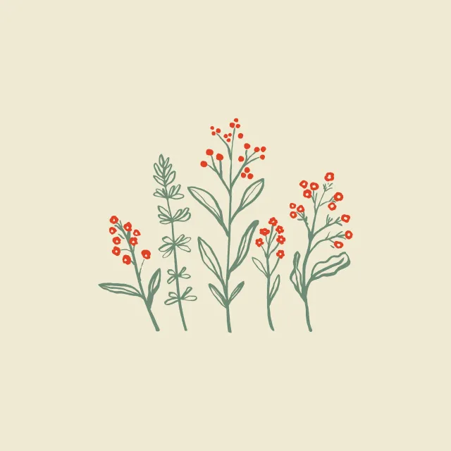 Tischset Mountain Herbs