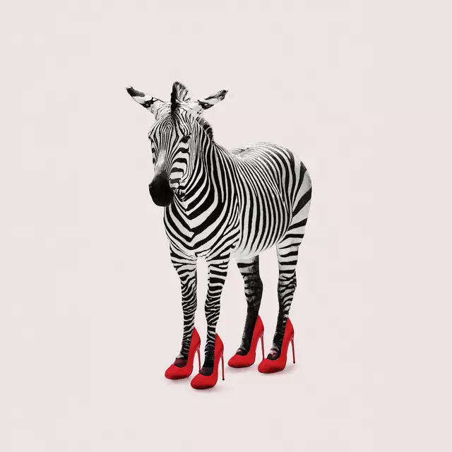 Kissen Zebra Heels
