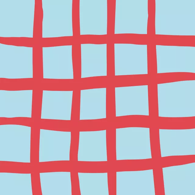 Kissen Gitter Red Blue