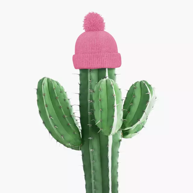 Geschirrtuch Cold Cactus