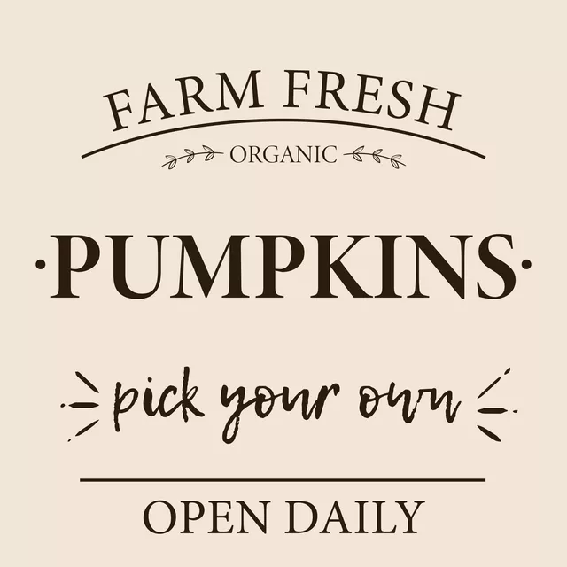 Kissen Pumpkins Typo Beige