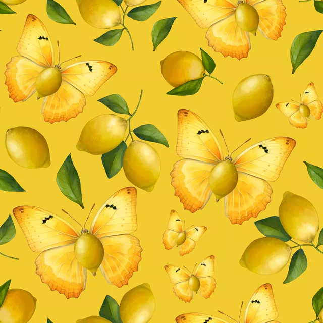 Kissen Zitronenfalter bei der Arbeit1