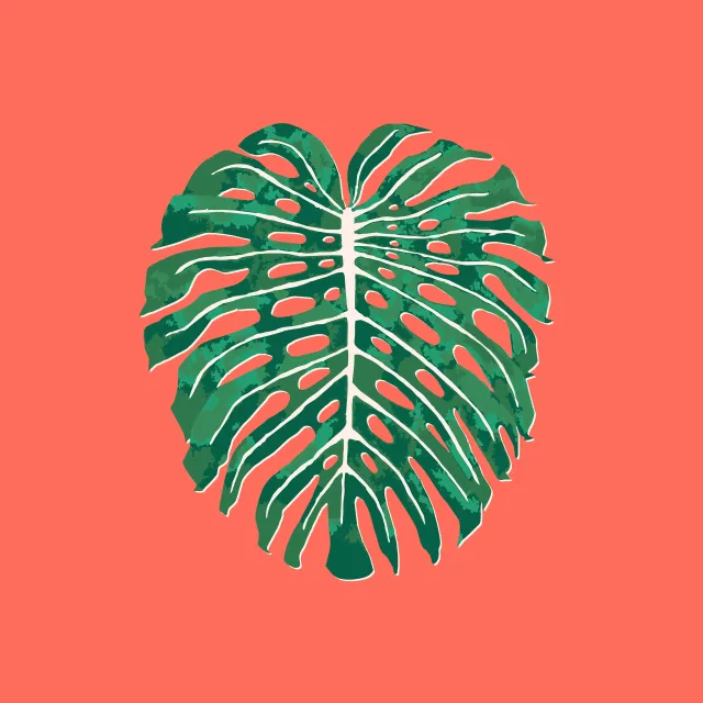Kissen Monstera Jungle Leaf coral
