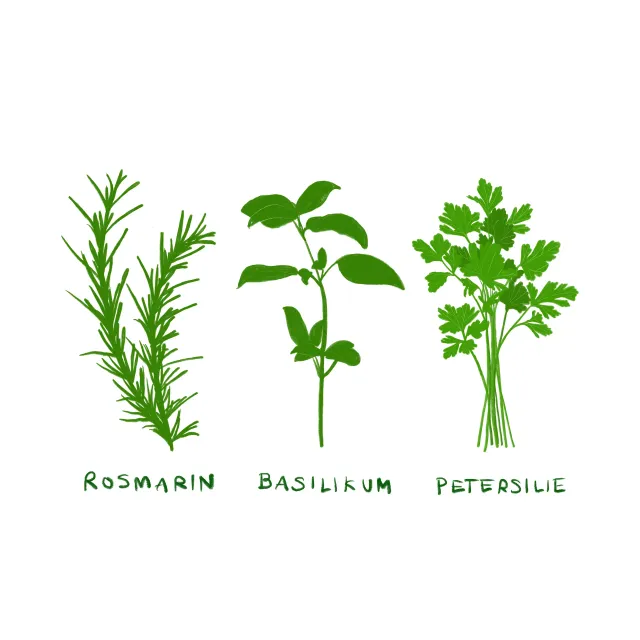 Servietten Gartenkräuter