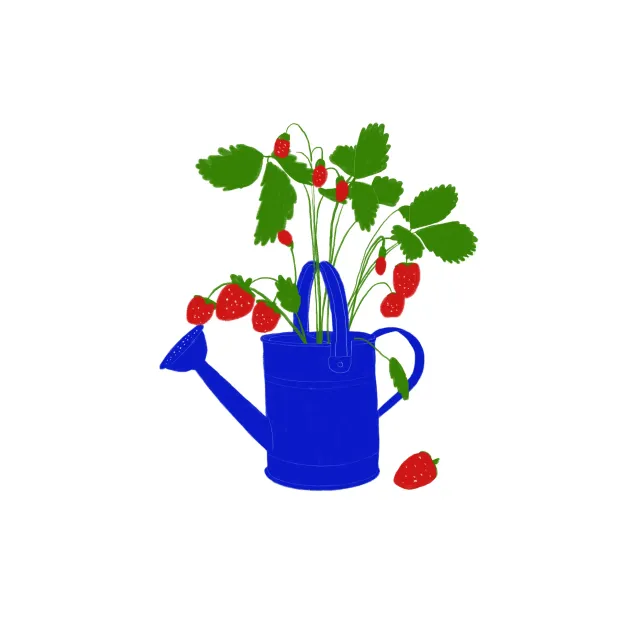 Servietten Gießkanne mit Erdbeeren