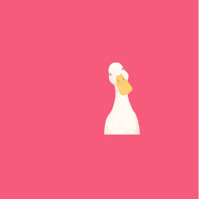 Kissen Hello Spring Ente Pink