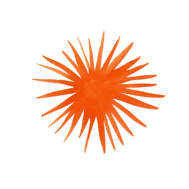 Sitzkissen Sonne Sommer