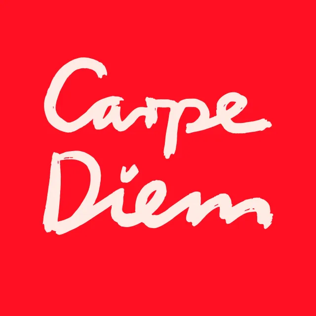 Kissen Carpe Diem Rot Wendekissen