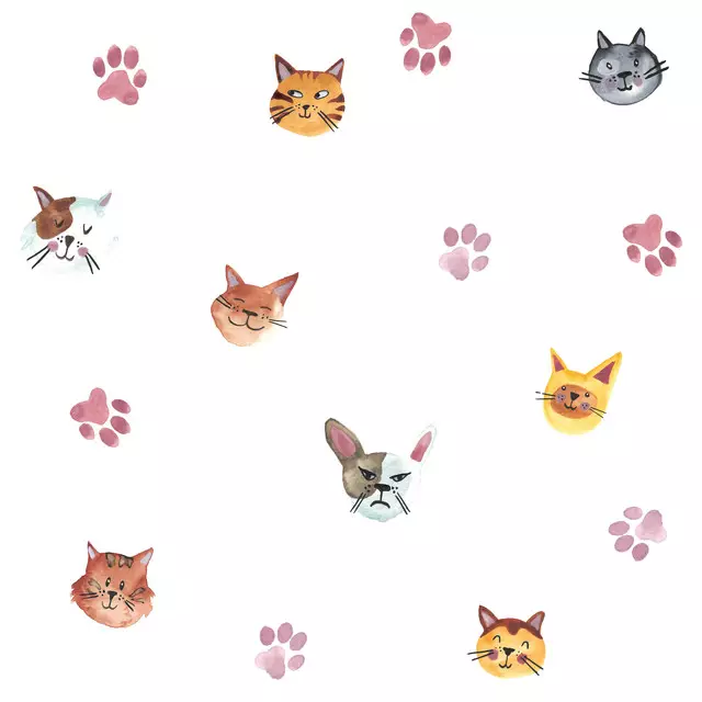 Bettwäsche Catlover