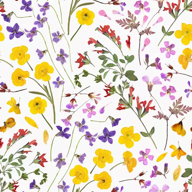 Bankauflage Mittsommer Blumen Wiese