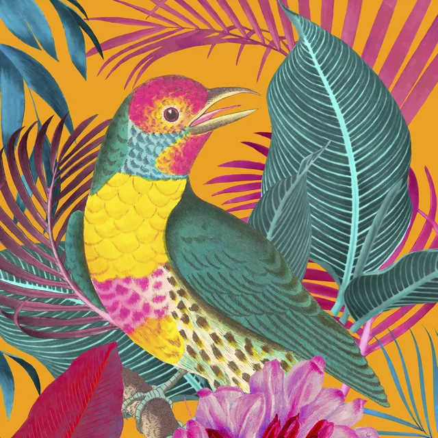 Kissen Tropenvogel Orange