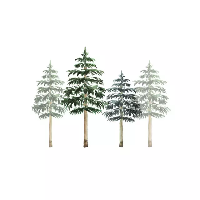 Tischset Tannenbäume im Schnee
