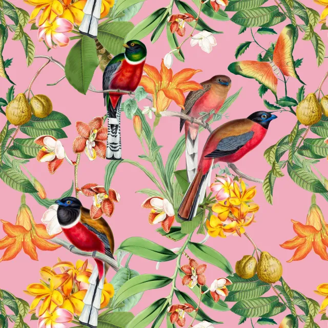 Kissen Bunte tropische Vögel pink