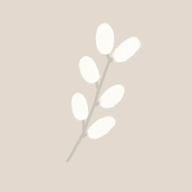 Kissen Kuscheliges Weidenkaetzchen