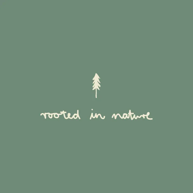 Kissen Mountain Roots