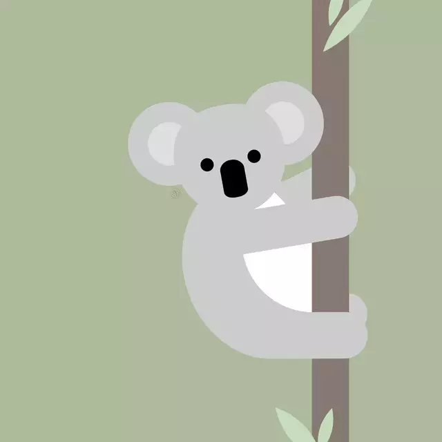 Dekovorhang Koala