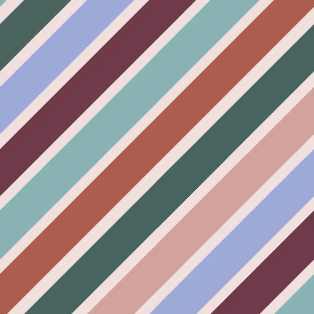 Kissen Streifen Diagonal Bunt