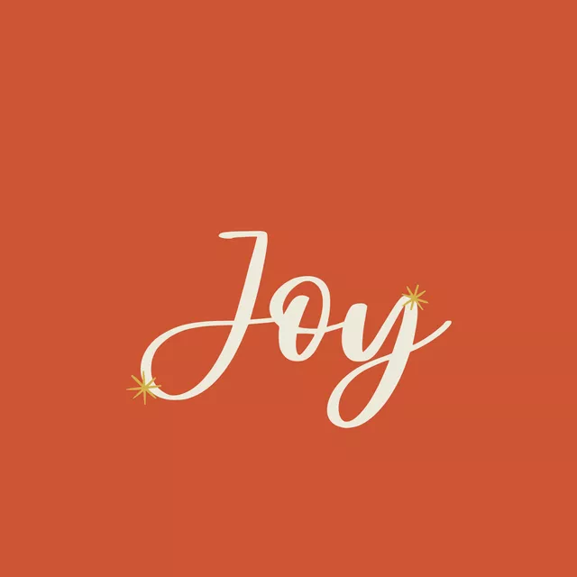 Kissen Joy Rot