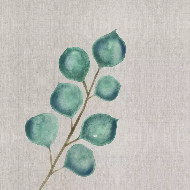 Kissen Foliage Eucalyptus Painting