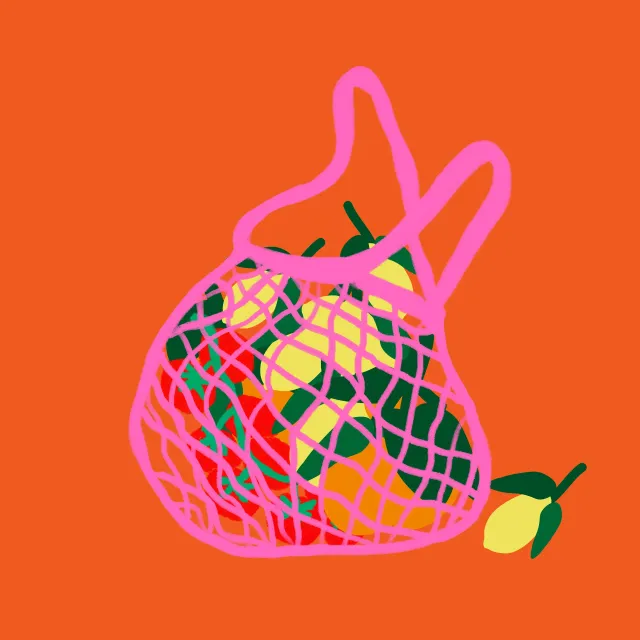 Kissen Einkaufsnetz Früchte Orange