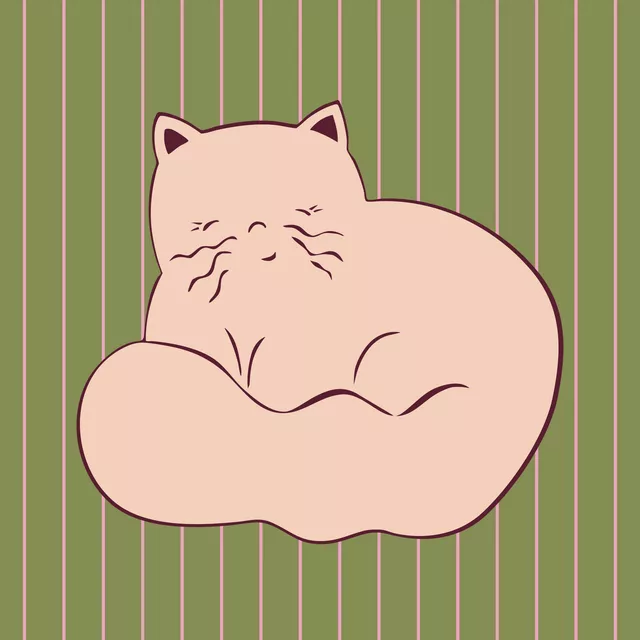 Kissen Kuschel Katze