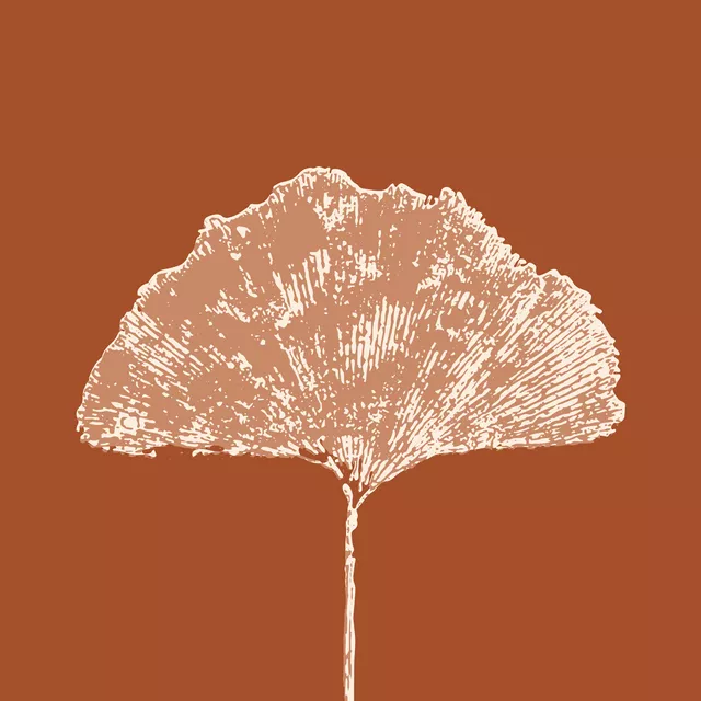 Kissen Gingko Blatt Braun