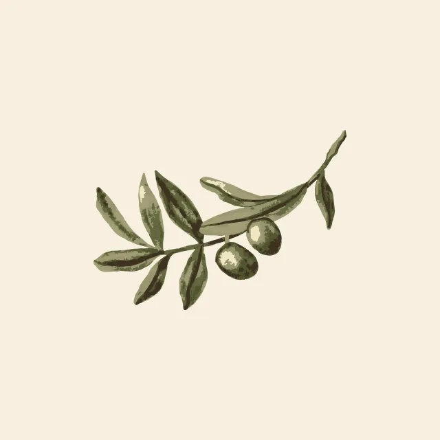 Servietten Mediterranean Olive Branch