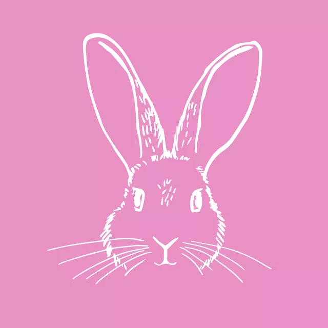 Kissen Bunny Sketch Pink