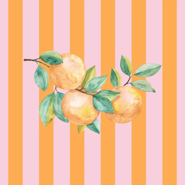 Servietten Orangen pink orange Streifen