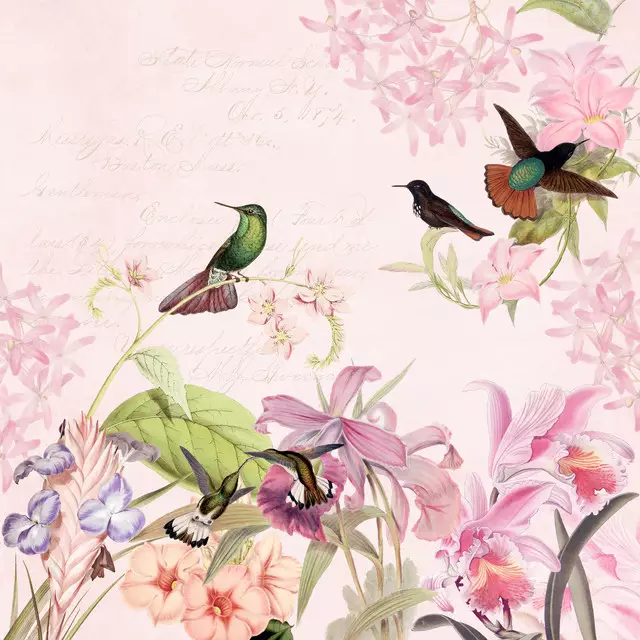 Kissen Vintage Pink Colibri Garten