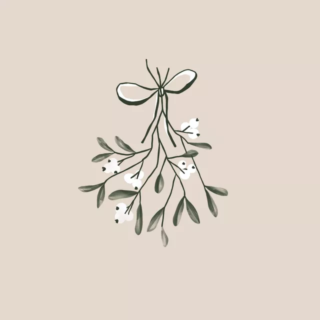 Geschirrtücher Mistelzweig