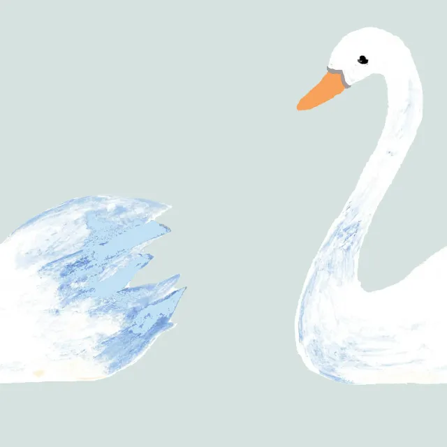 Dekovorhang Schwäne im Wasser