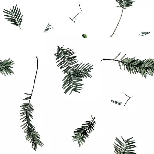 Kissen Small Fir Branches